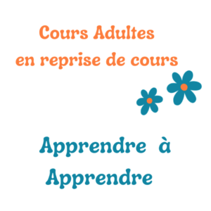 Stratégies d'apprentissage pour adultes